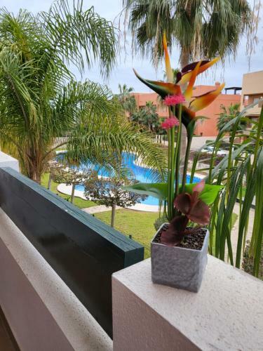 Apartamento Ex�tico En Primera L�nea de Vera-playa!