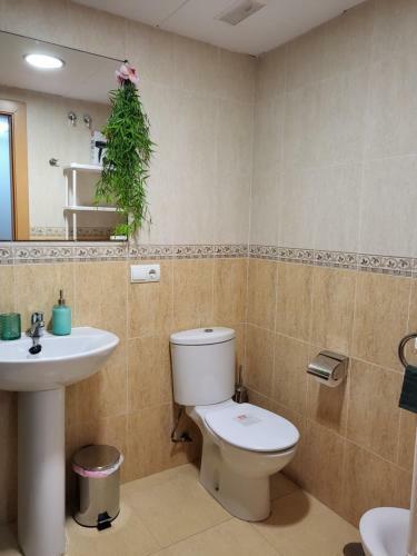 Apartamento Ex�tico En Primera L�nea de Vera-playa!