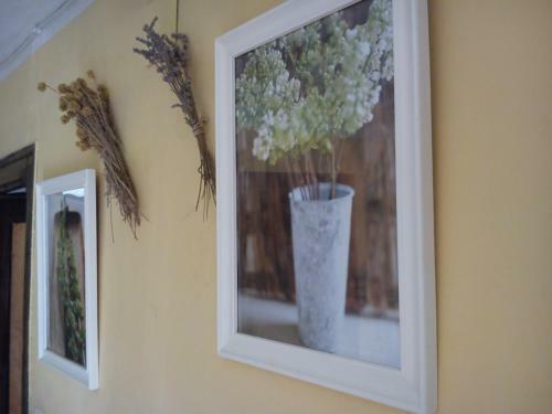 Agroturismo Casa Rural Las Dalias Con Hidromasaje