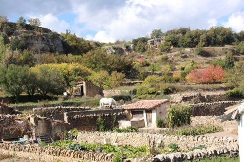 Agroturismo Casa Rural Las Dalias Con Hidromasaje