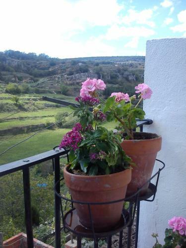 Agroturismo Casa Rural Las Dalias Con Hidromasaje