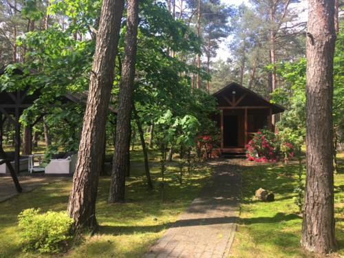 Dworek W Lesie - Nowy Obiekt