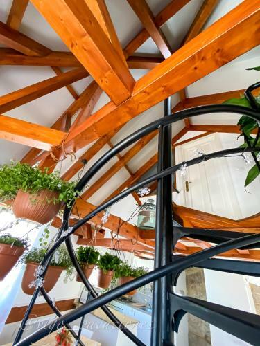 Apartamento La �nica City Hill