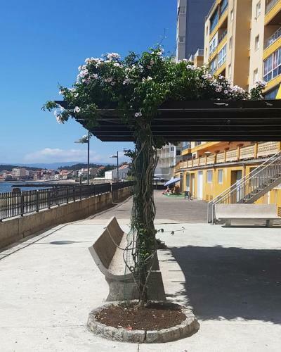 Apartamento Vistas A La R�a De Arousa