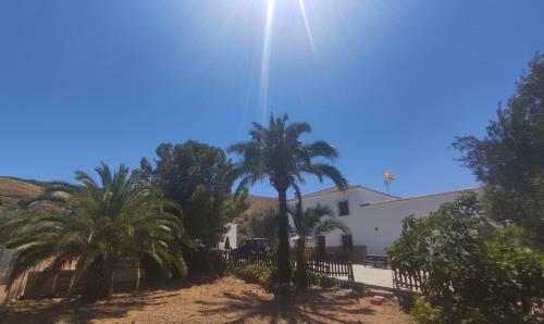 La Perdiz De Molinca
