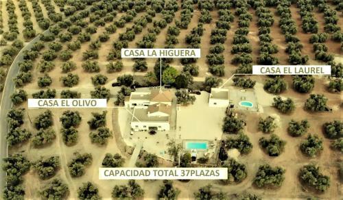 La Perdiz De Molinca