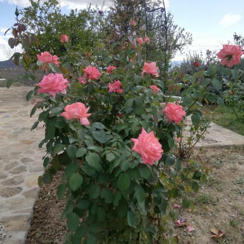 Agroturismo Casa Rural Castillomartin