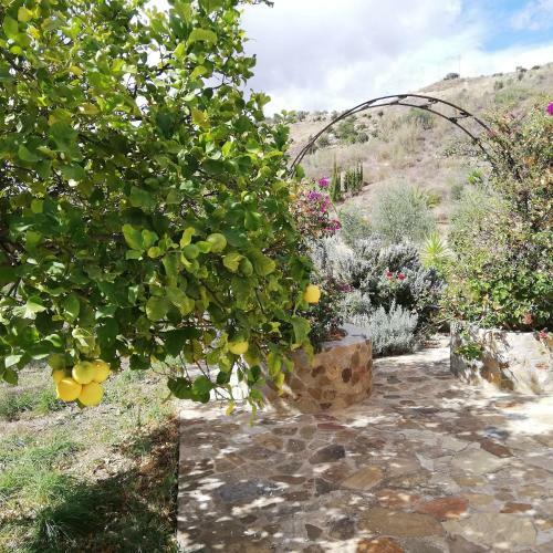 Agroturismo Casa Rural Castillomartin
