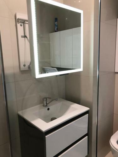 Apartamenty Metro S?odowiec, ?eromskiego 1