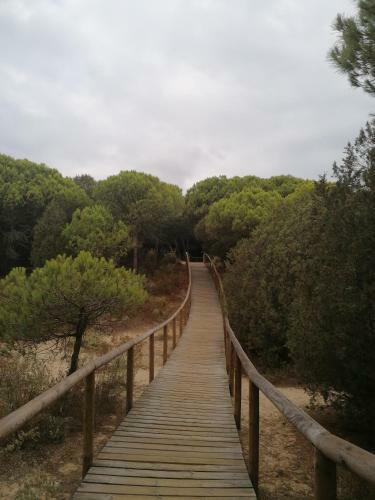 Apartamento En Punta Umbr�a