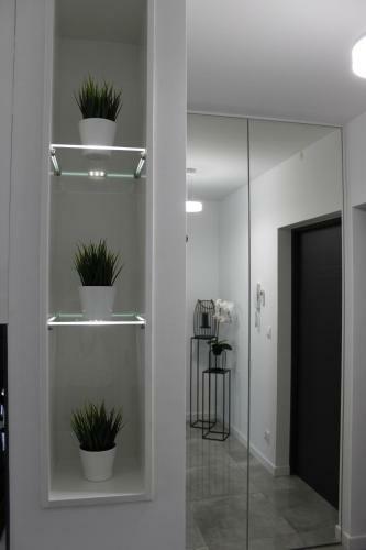 Apartament Wroc?aw Centrum Galeria Magnolia