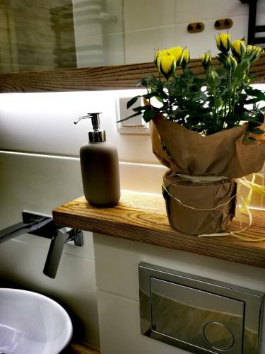 Apartament Przy Arsenale