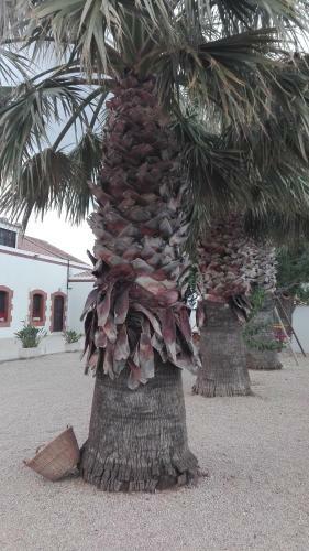 Agroturismo Casilla Del Mas D'avall