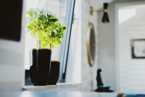 Apartamento Staromiejskie Premium
