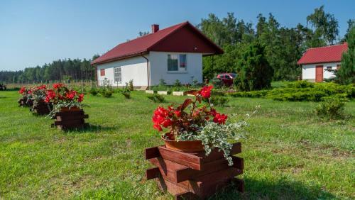 Agroturismo Siedlisko Pod Lasem