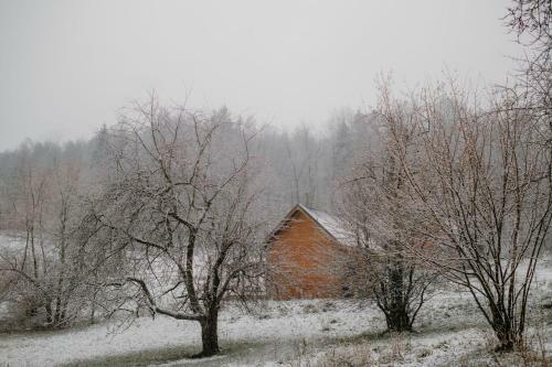 Lodge Osada Krasne - Noclegi Blisko Natury