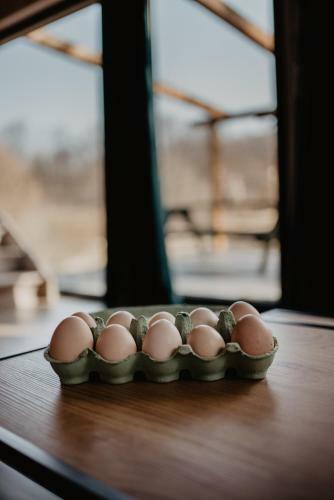 Lodge Osada Krasne - Noclegi Blisko Natury