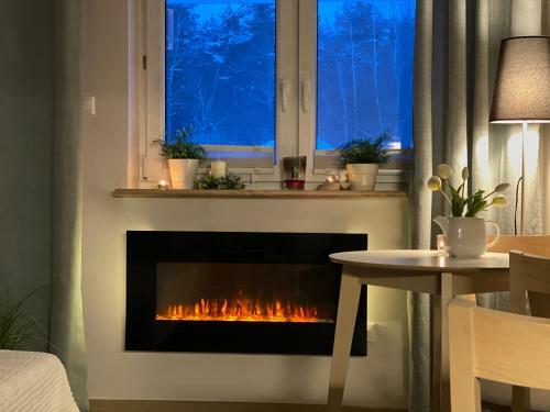Nadmorskie Zacisze - Apartament D?bina