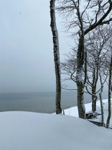 Nadmorskie Zacisze - Apartament D?bina