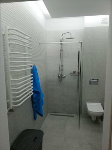 Apartament Bia?y ?agiel