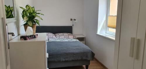 Apartamenty I Pokoje Go?cinne Zosia
