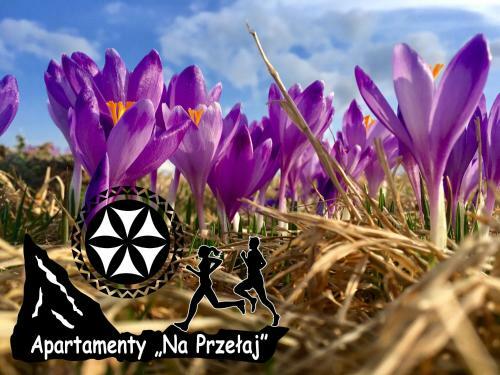 Apartamenty Na Prze?aj