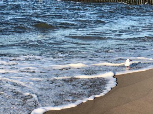 Apartamento Villa Mare 300 M Vom Strand Entfernt