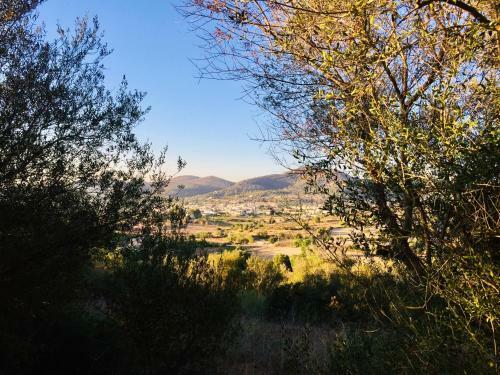 App. Grande - Osten Mallorca - Adults Only Apartments