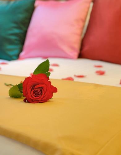 Bed & Breakfast Grove Guest House