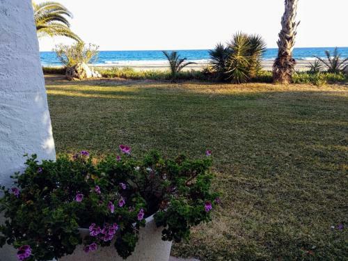 Paraiso Frente Al Mar Apto Duplex