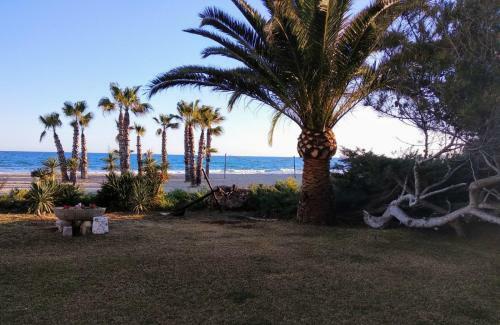 Paraiso Frente Al Mar Apto Duplex