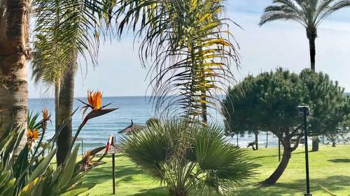 Mi Capricho A17 Beachfront Apartment