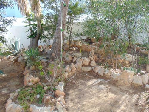 Apartamentos Miramar II