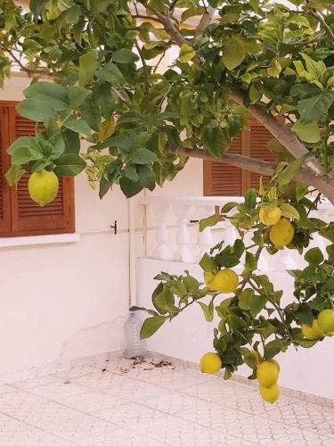 Apartamento Casa Rosi-10 Minute Walk To Beach