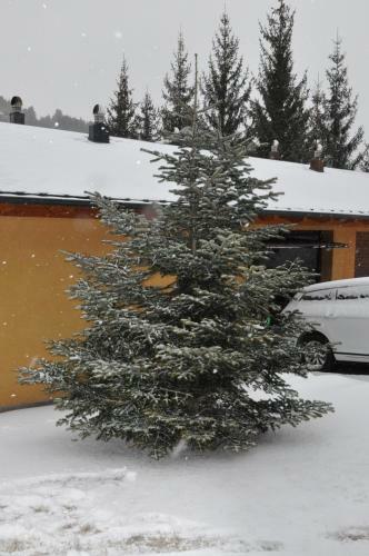 Casa En La Molina