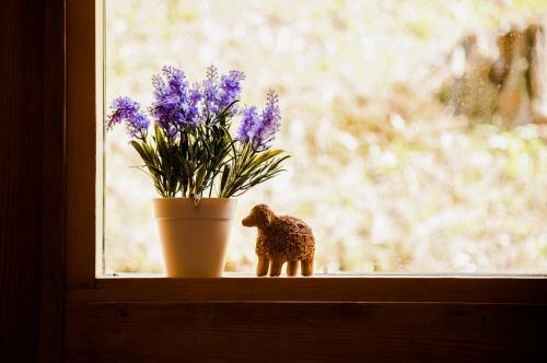 Lodge K�lmam�e Puhkemaja