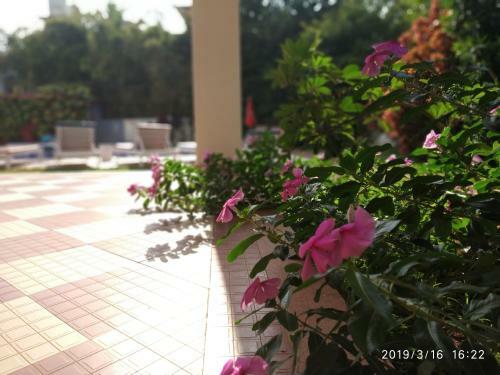 Hotel Bluesea Beach Resort