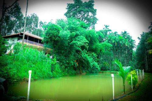 Lakeview Nest Homestay