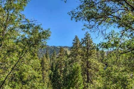 Doormat Vacation Rentals - Moonridge Mountain Manor