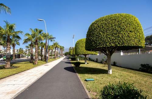 Apartamento Parque Santiago II Playa Las Americas