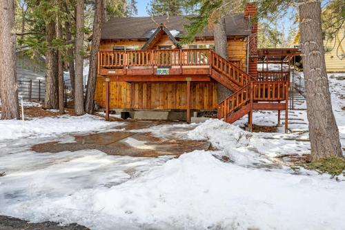 The Forester