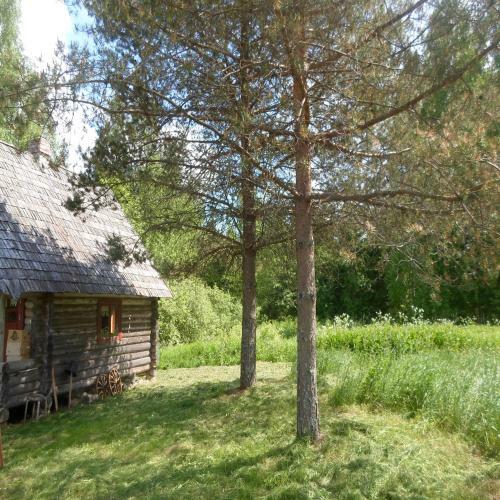 P�hnam�e Metsamajake