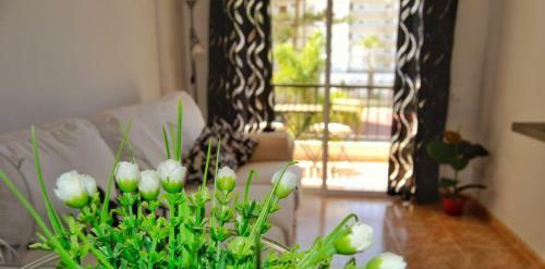Apartamento El Dorado Sun Las Am�ricas