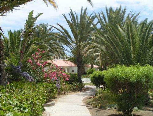 Sun Club Sun Tours Canarias Sl