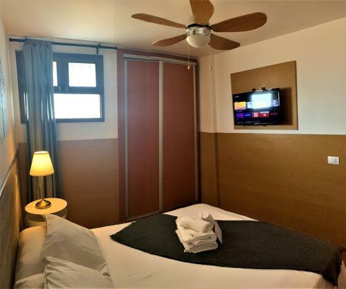 Coconut Friendly Apartment
