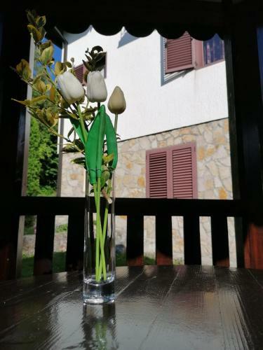 Apartman Zlatibor