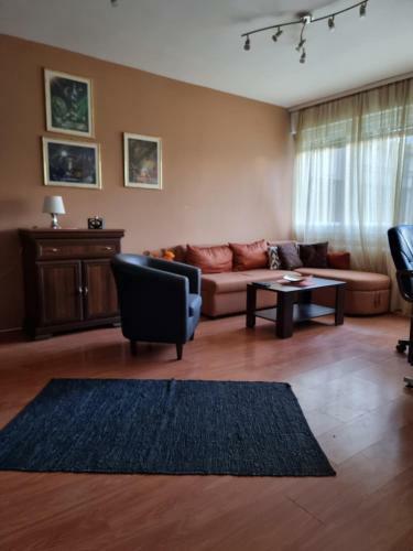 Apartment Deluxe Vo?dovac