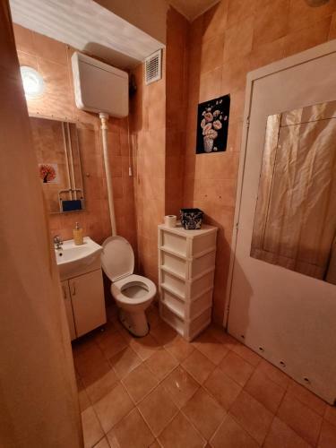 Apartment Deluxe Vo?dovac
