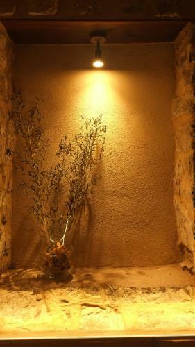 Agroturismo La Masia de Montpedr�s