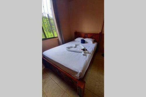 Casa R�o De Lava